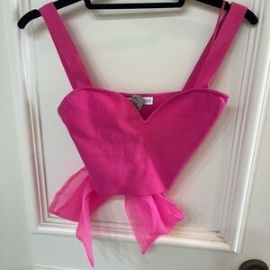 🎉HP🎉Zara Pink Organza bow tie back crop. Size M
